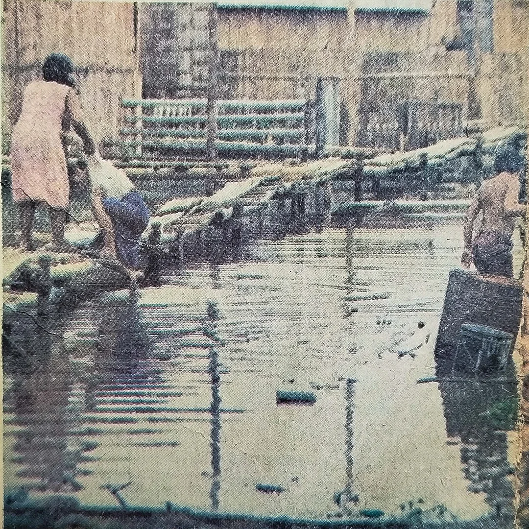 Imagen de la historia