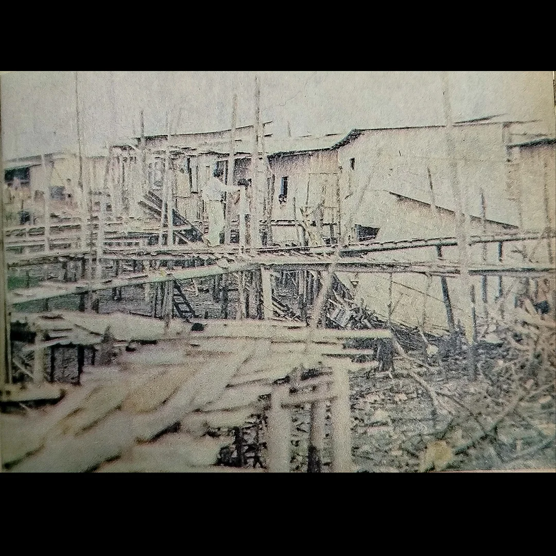 Imagen de la historia