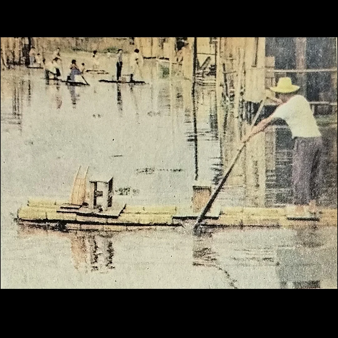 Imagen de la historia