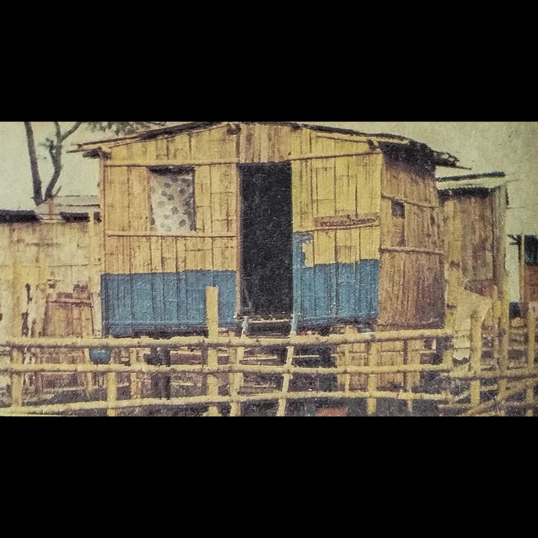 Imagen de la historia