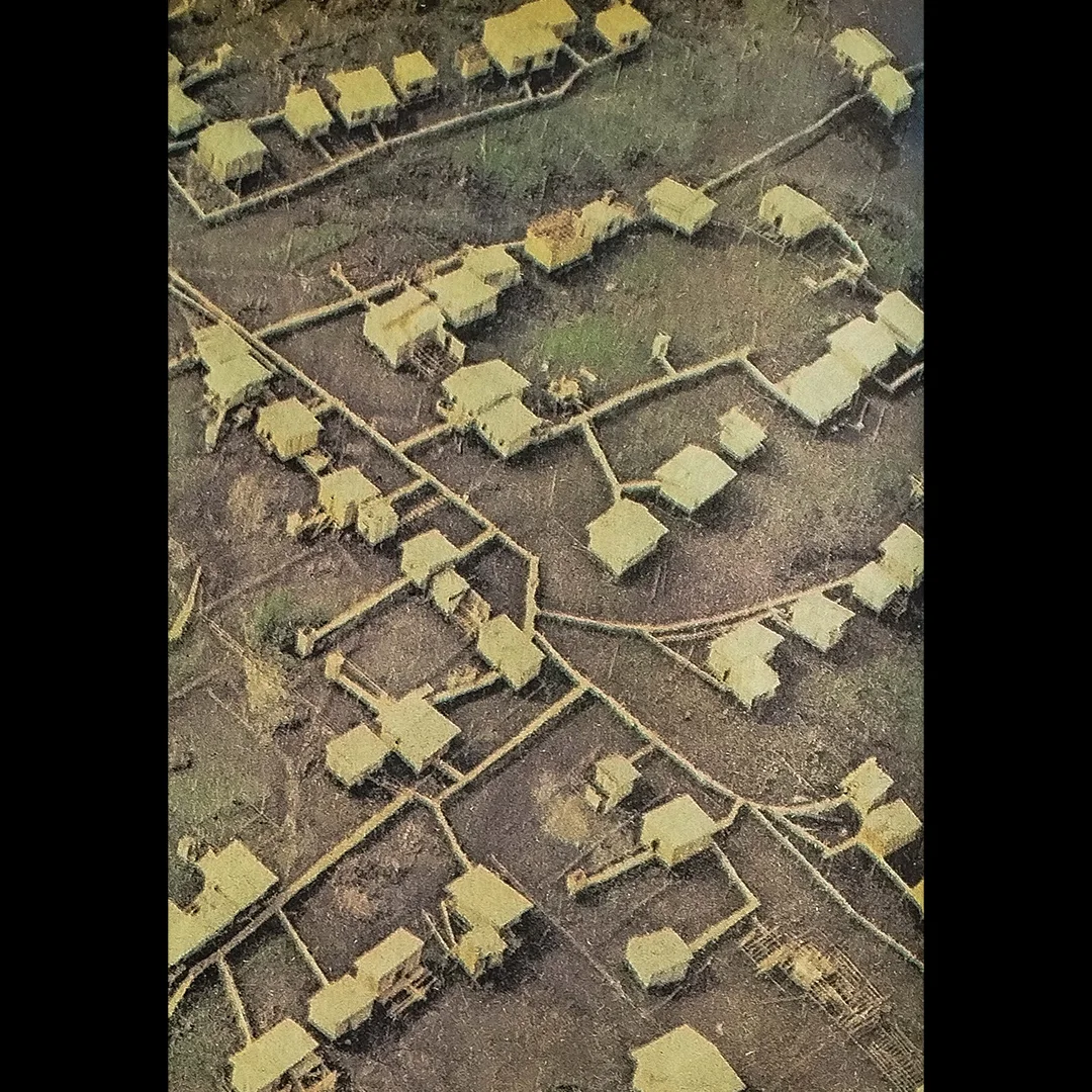 Imagen de la historia